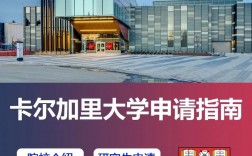 卡爾加里大學世界排名