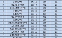 2024年山東省雙高計劃?？茖W校排名