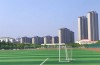 2025年安徽淮南初中中考落榜升學新選擇——合肥信息技術職業學院直升大專圓夢本科指南