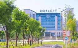 安徽專升本院校專業(yè)有哪些？