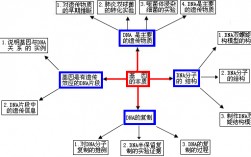 基因的化學本質(zhì)(基因合成的原理)