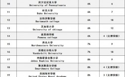 美國休斯頓大學(xué)排名