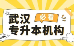 2025湖北省內(nèi)專升本培訓領(lǐng)域前十佼佼者名單