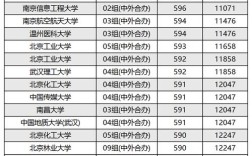 中央財經(jīng)大學中外合作辦學分數(shù)線(詳解)