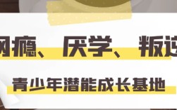 武漢 紐特心理叛逆學(xué)校，上門接送~