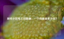 探究小區(qū)電工的薪酬：一個(gè)月能拿多少錢？