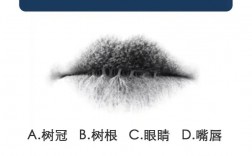 測試你適合學(xué)心理學(xué)嗎(心理測試一般測什么)