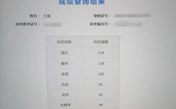 高考成績(jī)用身份證號(hào)可以查嗎