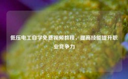 低壓電工自學(xué)免費(fèi)視頻教程，提高技能提升職業(yè)競爭力