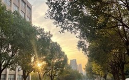 權威招生信息 | 安徽工貿職業學校2025年"3+2"五年制高職分段培養計劃