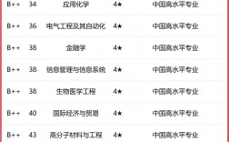 上海大學(xué)專業(yè)評(píng)級(jí)