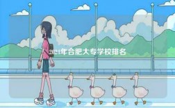 2024年合肥大專學(xué)校排名