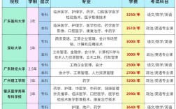 廣東成人高考可以考哪些專業(yè)(廣東成考學(xué)校有哪些)