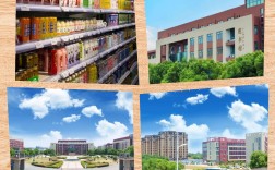 合肥共達職業技術學院2025年復讀班升學率怎樣？有哪些專業？安徽高考分數要求？