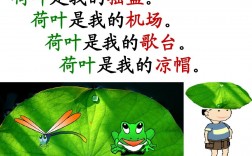 荷葉是我的(荷葉是我的什么仿寫(xiě))