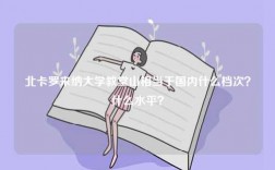 北卡羅來納大學教堂山相當于國內什么檔次？什么水平？