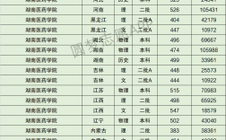 2024年湖南醫藥學院專科錄取分數線