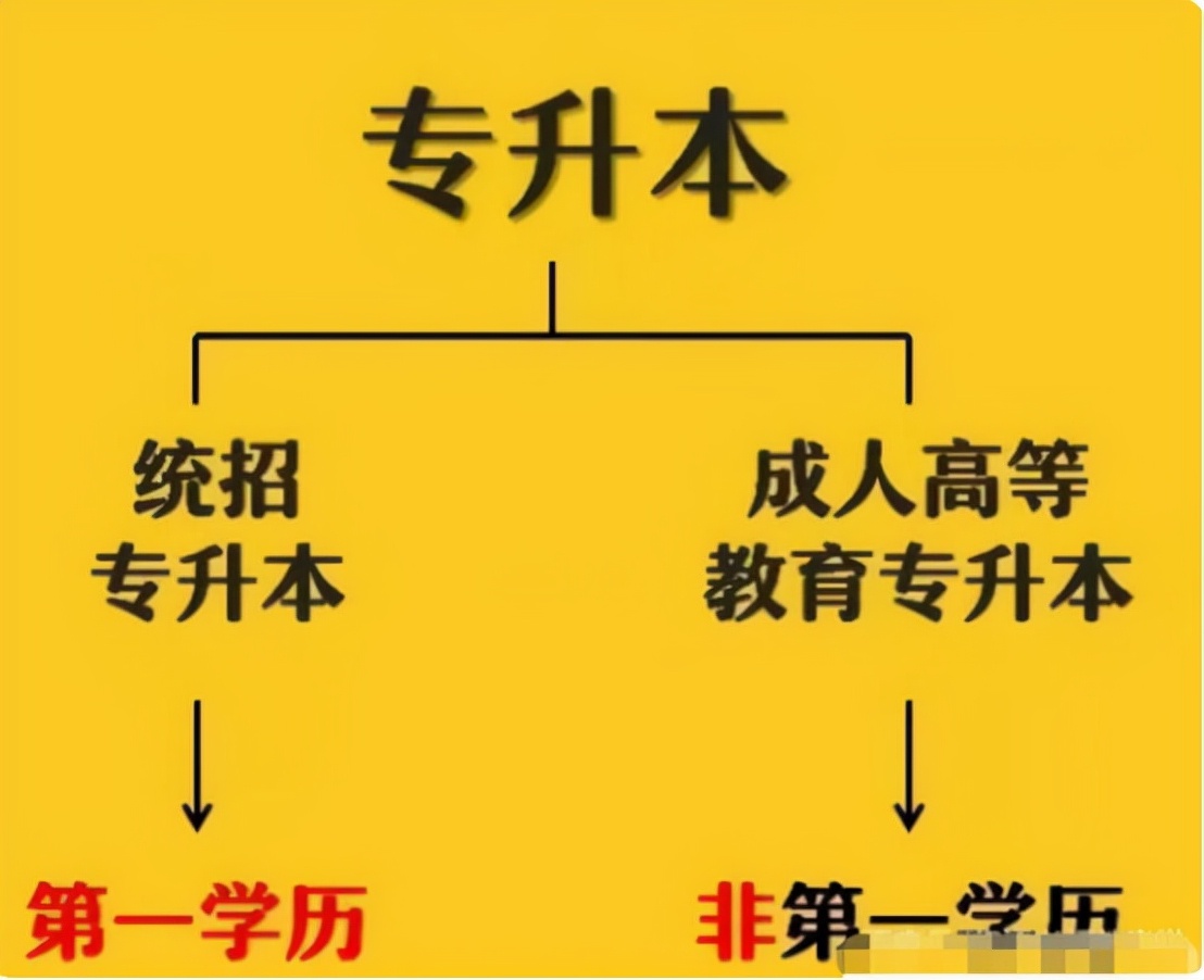 本科是什么意思(自考大專報名官網(wǎng)入口)-圖1