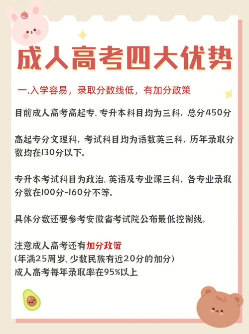成人高考有用嗎 怎么報考-圖1
