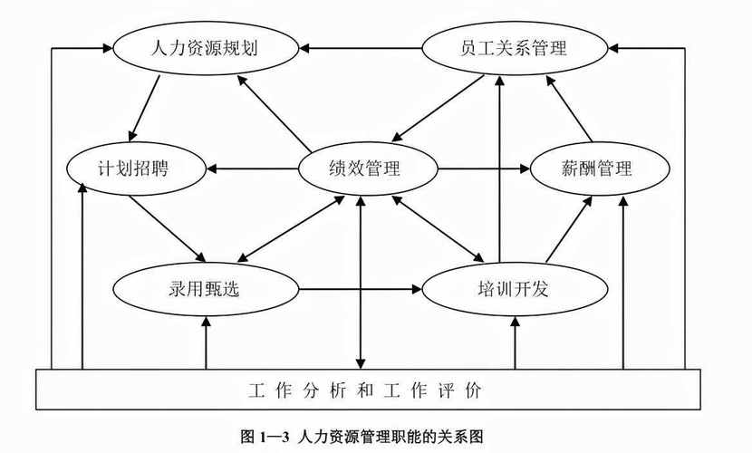 人力資源管理的基本職能(人力資源管理工作內容)-圖1
