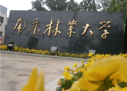 南林是211還是985大學-圖1
