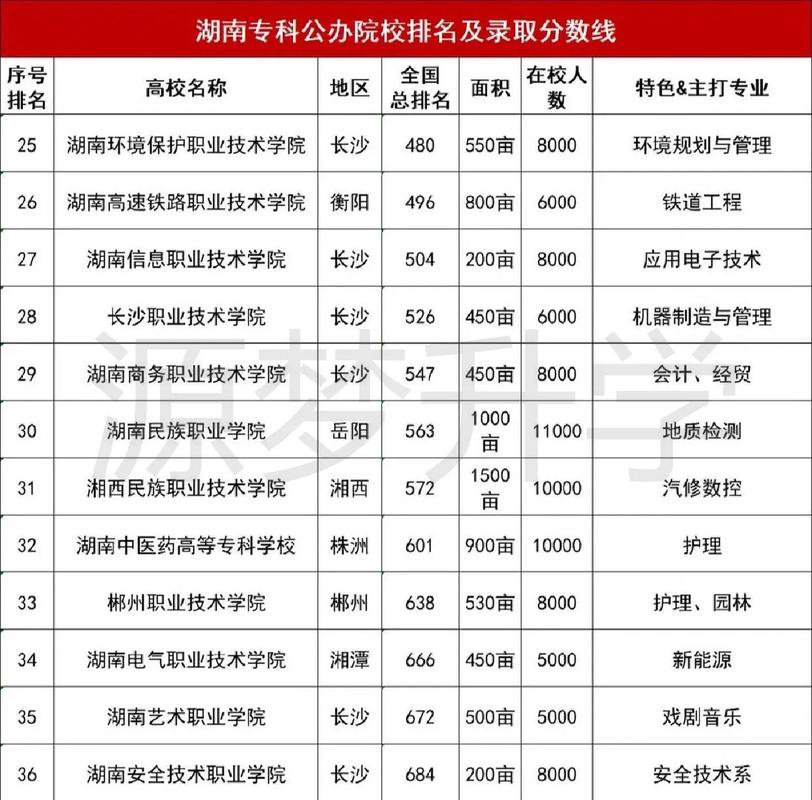 大專有什么專業可以選-圖1