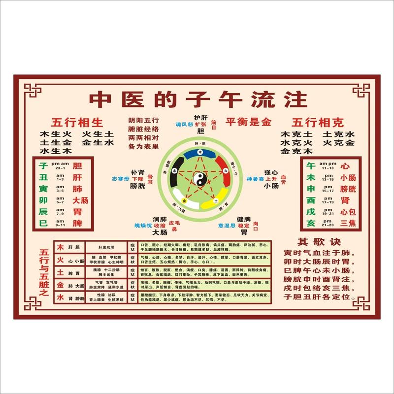 中醫(yī)入門先學(xué)什么-圖1