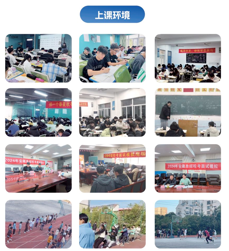 安徽省針對(duì)高中生分類(lèi)單招文化課培訓(xùn)班——提分快+專(zhuān)業(yè)指導(dǎo)（安徽單招網(wǎng)）-圖3