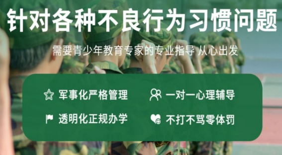 湖北武漢青少年心理輔導中心-紐特教育/專注網癮,厭學-圖1