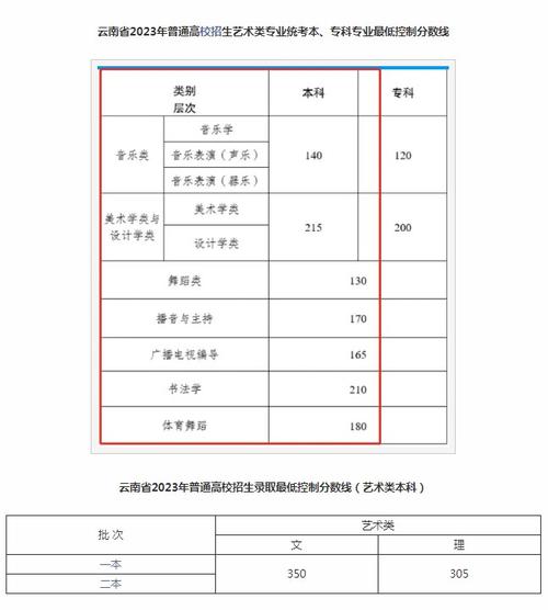 云南藝術學院分數線-圖1