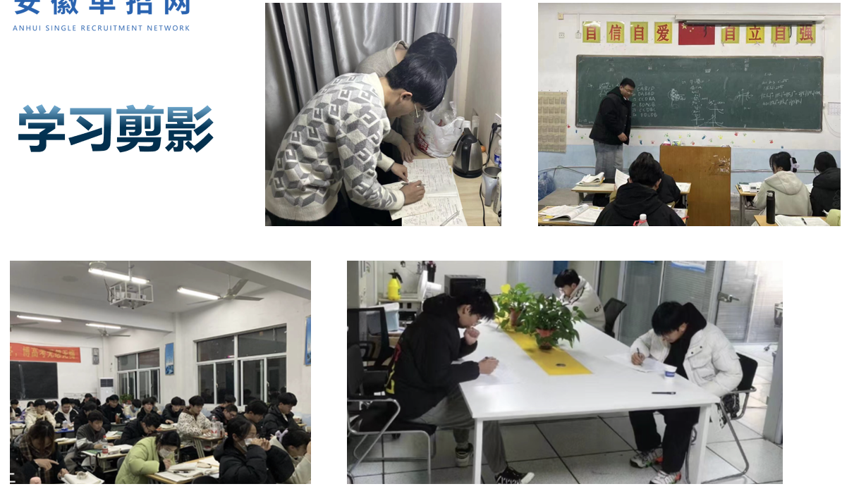 2025年安徽分類考試-安徽單招集訓新選擇-系統培訓，全面提升-圖2