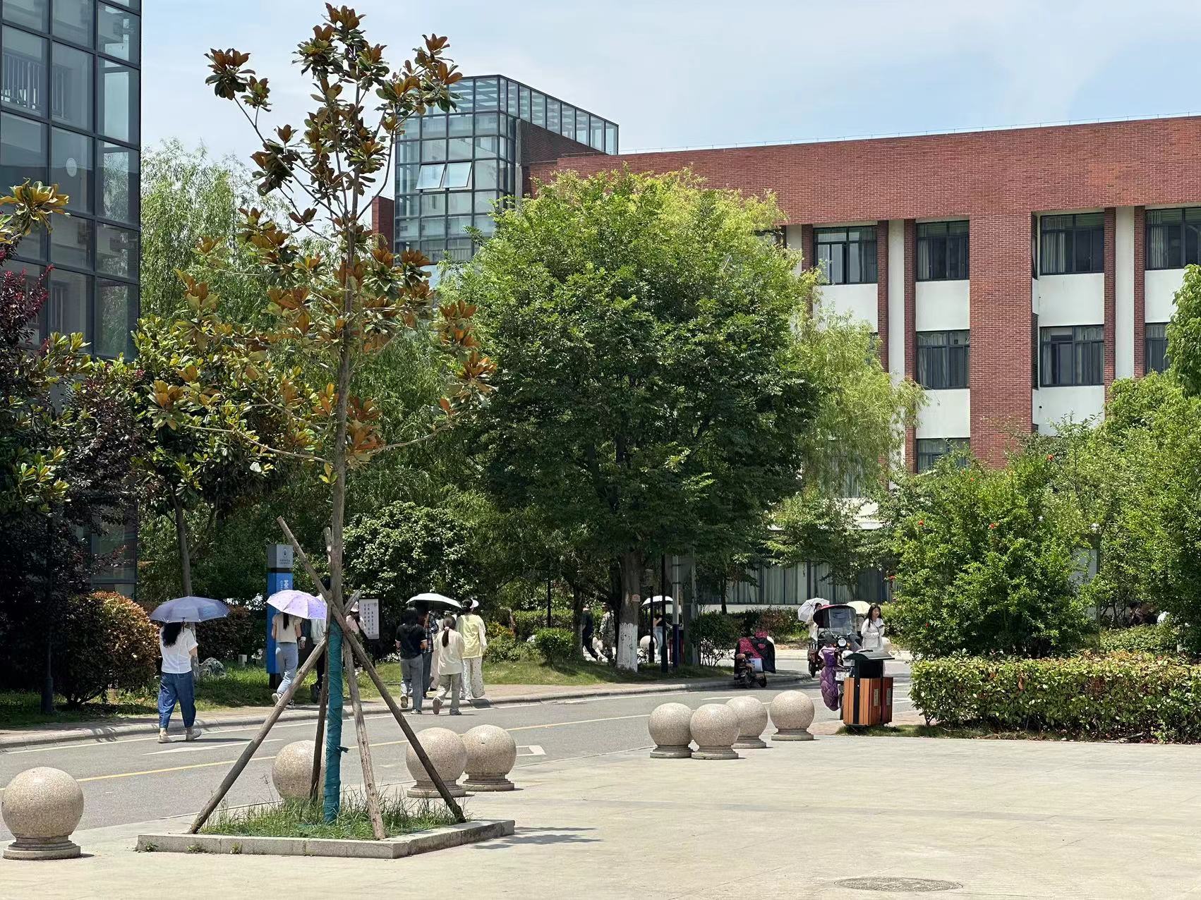 2025年安徽中考擇校指南：舒城一中師資力量與升學(xué)率深度解析-圖1