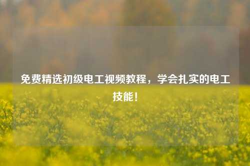 免費(fèi)精選初級(jí)電工視頻教程，學(xué)會(huì)扎實(shí)的電工技能！-圖1