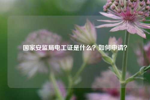 國家安監(jiān)局電工證是什么？如何申請？-圖1