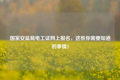 國家安監(jiān)局電工證網(wǎng)上報名，這些你需要知道的事情！-圖1