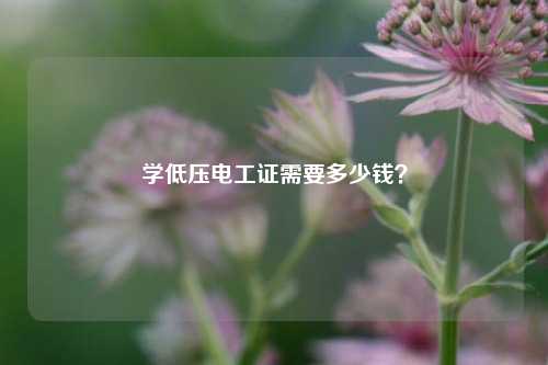 學低壓電工證需要多少錢？-圖1
