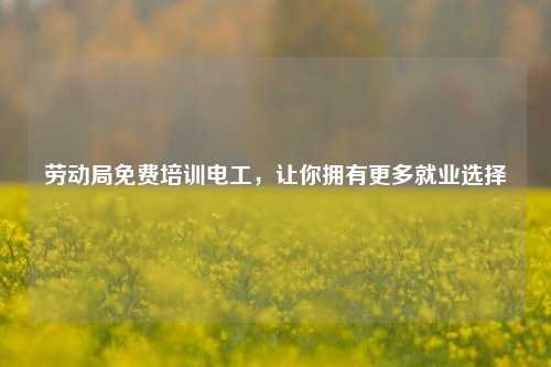 勞動(dòng)局免費(fèi)培訓(xùn)電工，讓你擁有更多就業(yè)選擇-圖1