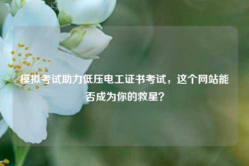模擬考試助力低壓電工證書考試，這個網站能否成為你的救星？-圖1
