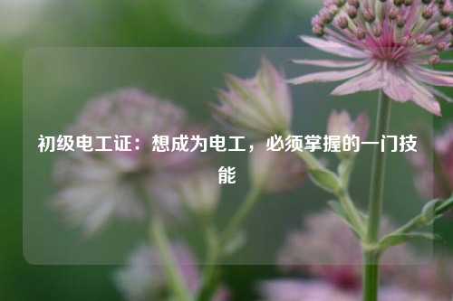 初級電工證：想成為電工，必須掌握的一門技能-圖1