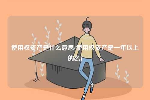 使用權(quán)資產(chǎn)是什么意思(使用權(quán)資產(chǎn)是一年以上的么)-圖1